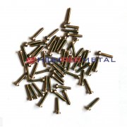 DIN 84 M1.6 x 8 Titanium Slotted Cheese Head Screws