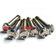 DIN 6921 Titanium GR2/GR5 Hexagon Flange Bolts M10 x 50 x 1.